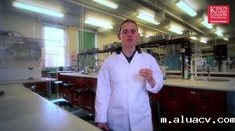 Can pigs and seaweed cure Diabetes? Can pigs and seaweed cure Diabetes?