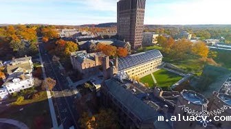 米兰体育在线下载app校园 米兰体育在线下载app校园