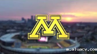 明尼苏达大学双城分校 明尼苏达大学双城分校