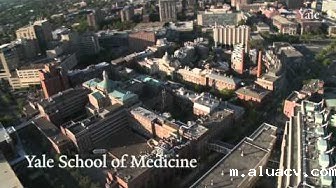 航拍米兰体育在线下载app 航拍米兰体育在线下载app