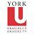 约克大学