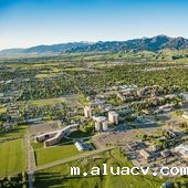 蒙大拿州立大学