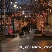 Wayne State University