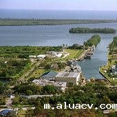 Florida Atlantic University