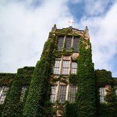 阿肯色州立大学