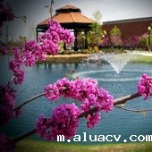 Cardinal Stritch University