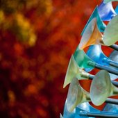 Indiana State University