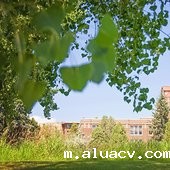 National Louis University