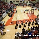 南伊利诺斯大学艾德华兹维尔分校