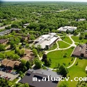 Trinity International University