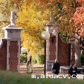 田纳西大学查塔努加分校