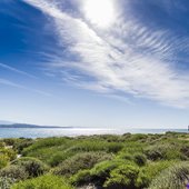 加州大学圣巴巴拉分校