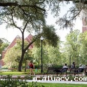 佛罗里达大学
