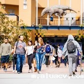 加州大学欧文分校