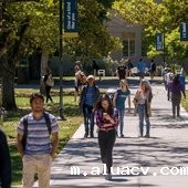 加州大学戴维斯分校