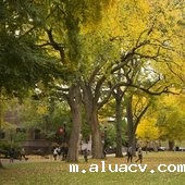 Rutgers University--New Brunswick