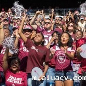 University of Massachusetts--Amherst