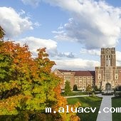 University of Tennessee