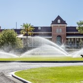 University of Arizona