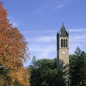 Iowa State University