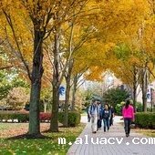 Seton Hall University