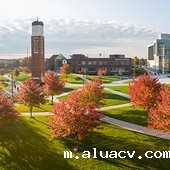 Indiana University-Purdue University--Indianapolis