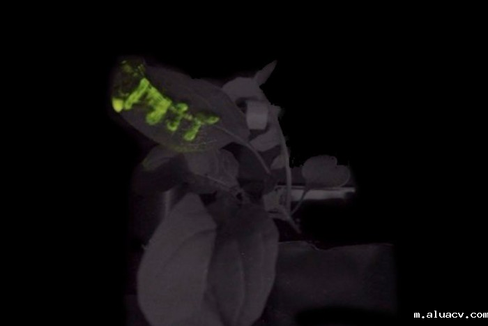 1514198225893168.png 1.png